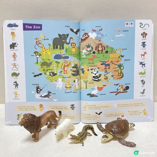 爸爸一直好注重培養Adrian嘅英語能力, 所以好細個開始已...