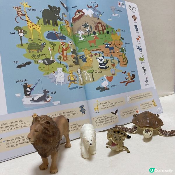 爸爸一直好注重培養Adrian嘅英語能力, 所以好細個開始已...