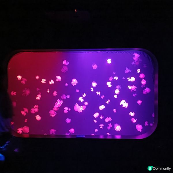 親子好去處 | 浩海立方•探游館 | 荃灣區