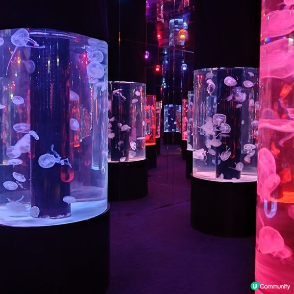 親子好去處 | 浩海立方•探游館 | 荃灣區