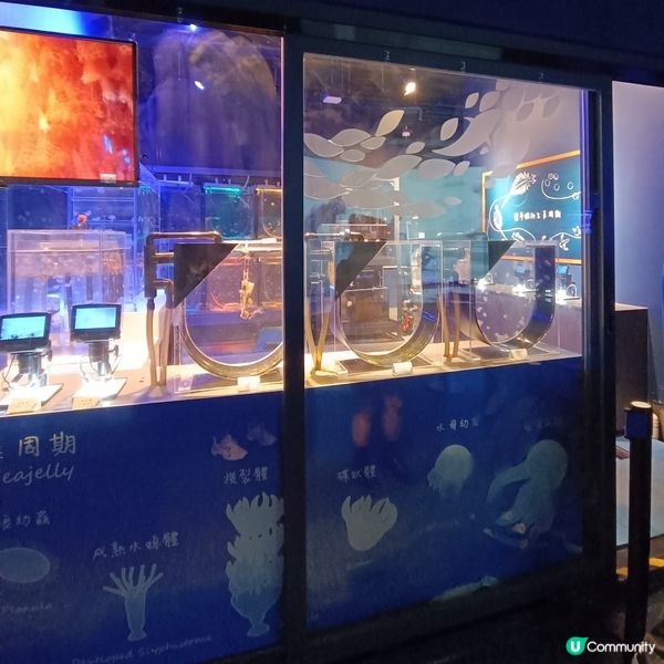 親子好去處 | 浩海立方•探游館 | 荃灣區