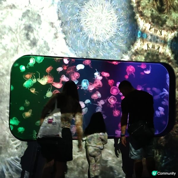 親子好去處 | 浩海立方•探游館 | 荃灣區