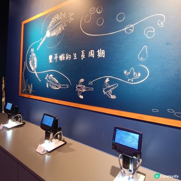 親子好去處 | 浩海立方•探游館 | 荃灣區