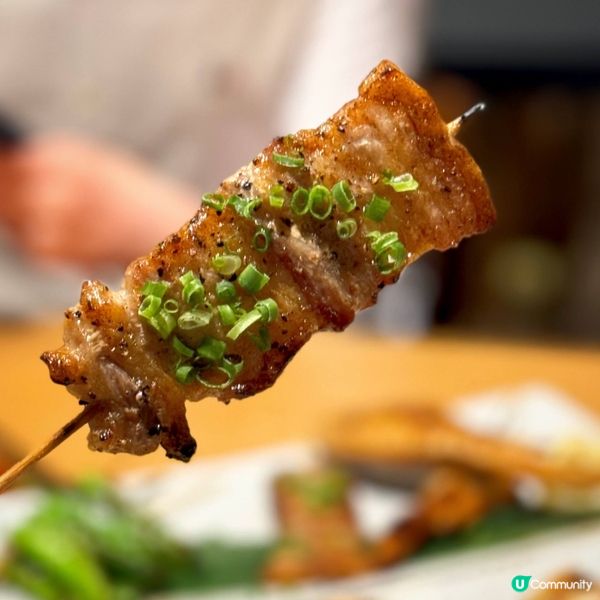 藍鰭吞拿魚盛宴@昼月Day Moon