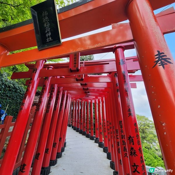 全部都係鳥居⛩️全部都係鳥居仲有電梯的祐德稻荷神社😁😁