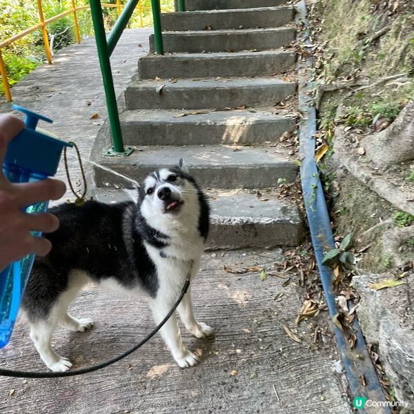 飲啖水先．．