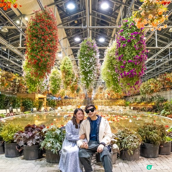 超美日本花藝展覽｜溫室內欣賞精心佈置的花舍！
