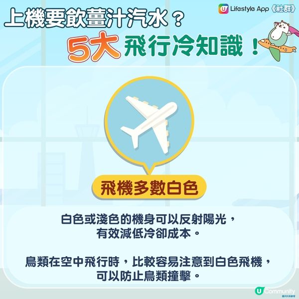 上機要飲薑汁汽水？5大飛行冷知識！