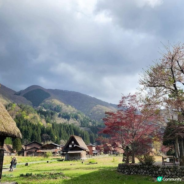 🛖住日本世界遺產白川鄉合掌屋🤩🛖