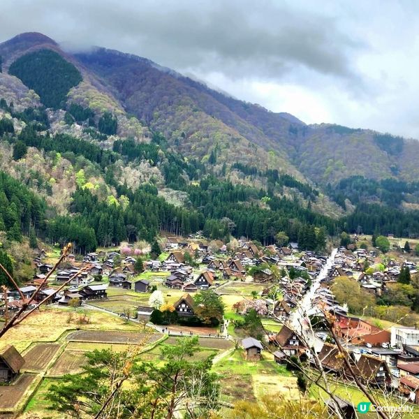 🛖住日本世界遺產白川鄉合掌屋🤩🛖