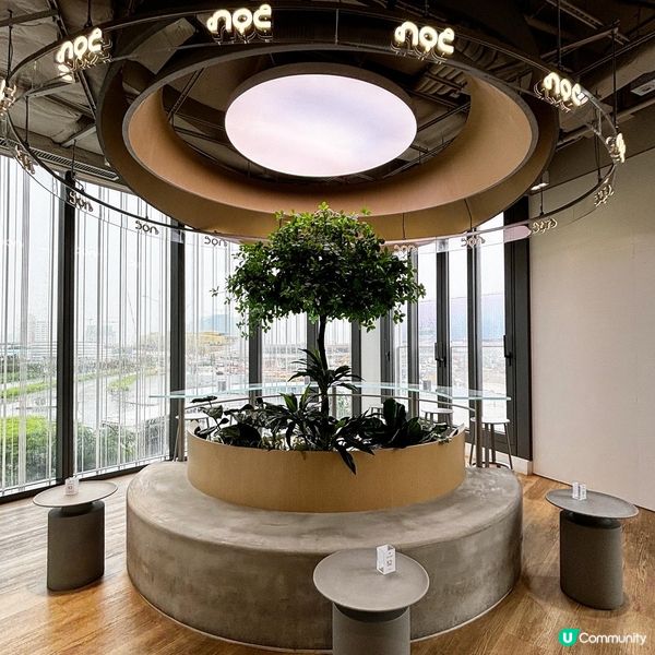 啟德 純白採光度高cafe 