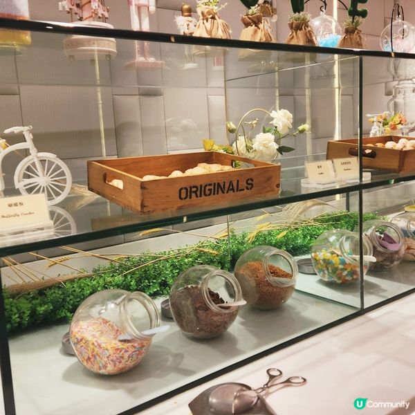 ✨️ 百樂酒店自助午餐 $280/位 抵食 ✨️