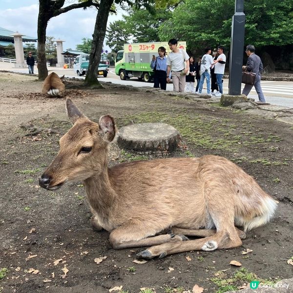 求好旅友 打卡熱點