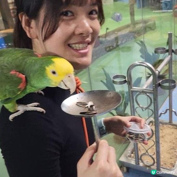 龍崗萬達廣場❗️ lParty Day室內遊樂場🎡&動物園