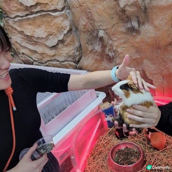 龍崗萬達廣場❗️ lParty Day室內遊樂場🎡&動物園