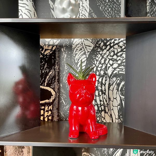 寫意Afternoon Tea Buffet🍽️🍨🍮🍰🥃☕️👍🏻👍🏻