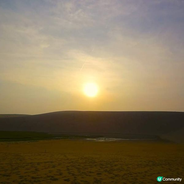 鳥取沙丘~ 日本的絕景小沙漠！