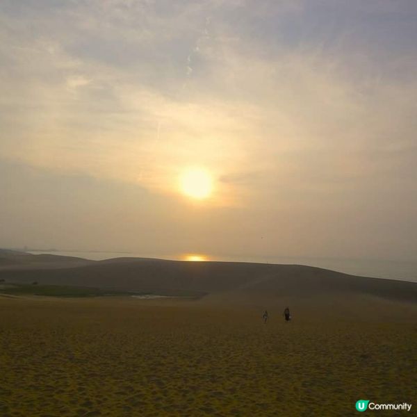 鳥取沙丘~ 日本的絕景小沙漠！