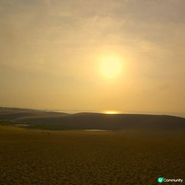 鳥取沙丘~ 日本的絕景小沙漠！