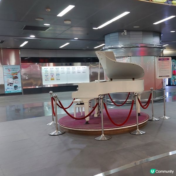 美麗島站、光之穹頂