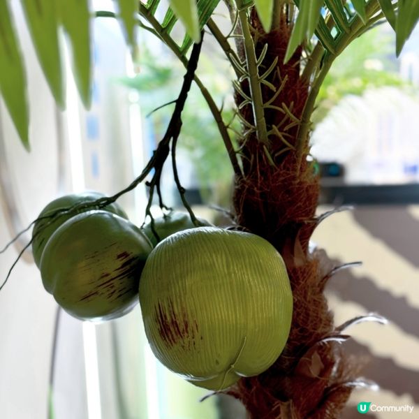 甜蜜椰香@椰子星球