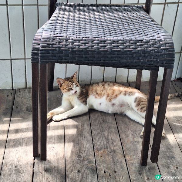 望住官湖沙灘，好食海鮮餐廳😋