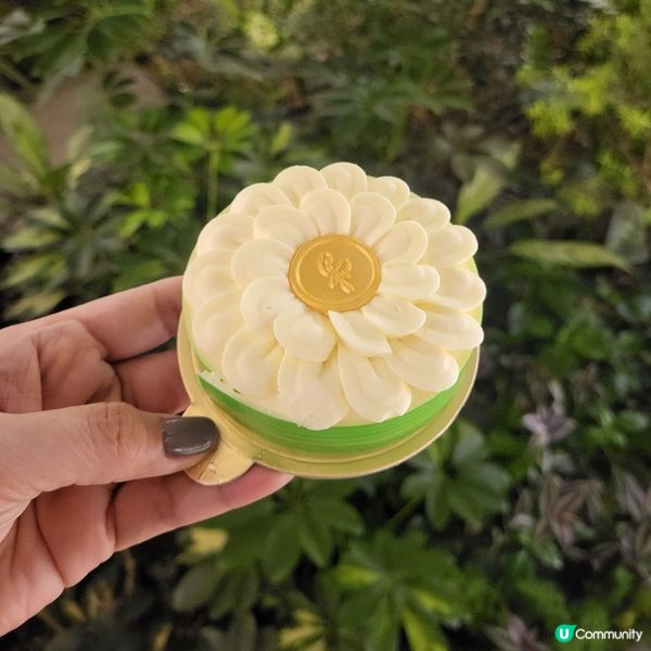 漂亮極致的小蛋糕