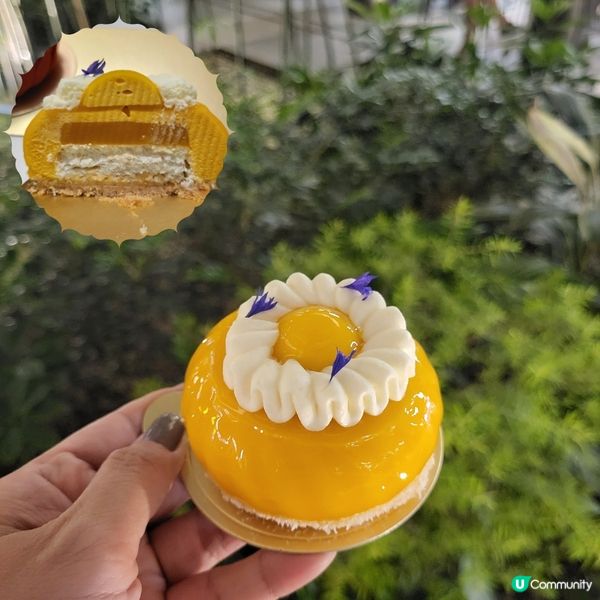 漂亮極致的小蛋糕