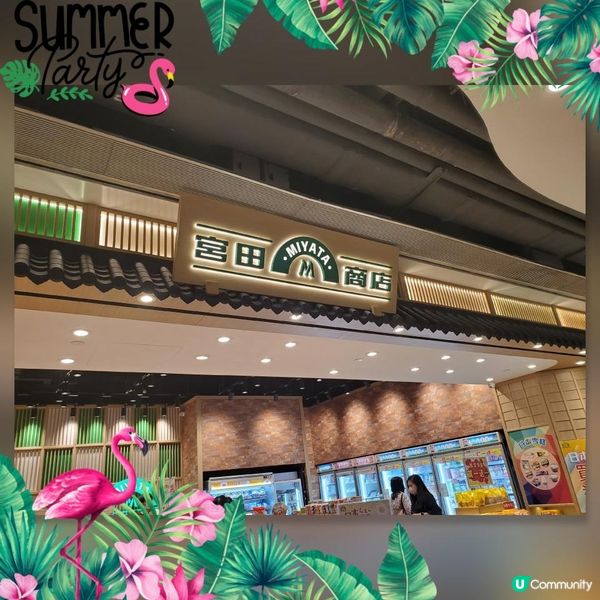 《雪糕激減 ~ Miyata宮田商店》