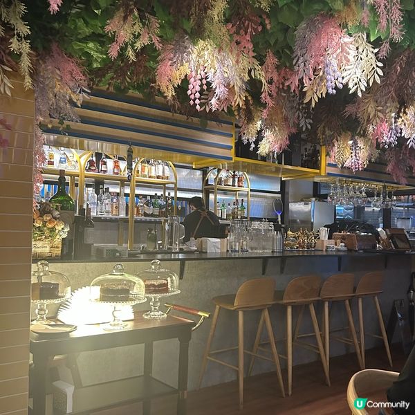 黎巴嫩菜有驚喜