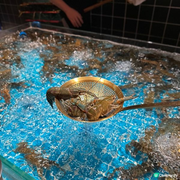 宮廷國潮風．食足120分鐘．任食生猛活海鮮．現切榴槤