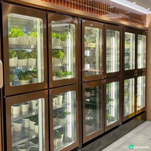 ｢減肥都可以食得飽｣嘅$68自助火鍋午餐*附減肥推介食品*