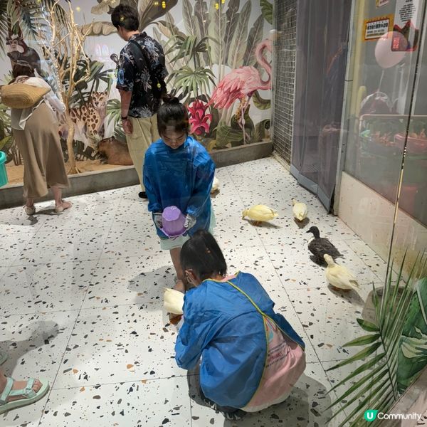Lollypet寵萌樂園的遊玩體驗！親親小動物