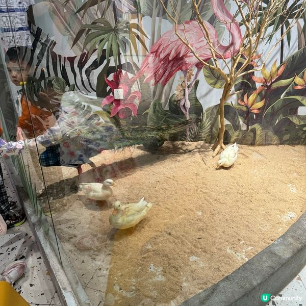 Lollypet寵萌樂園的遊玩體驗！親親小動物