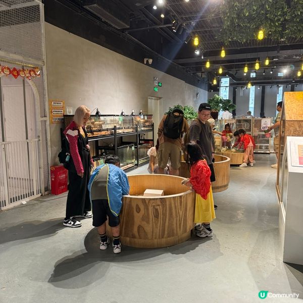 Lollypet寵萌樂園的遊玩體驗！親親小動物