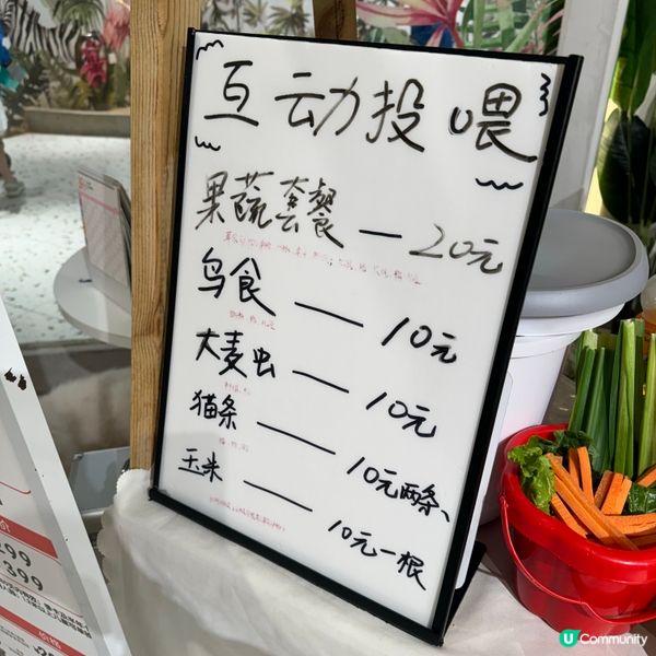 Lollypet寵萌樂園的遊玩體驗！親親小動物