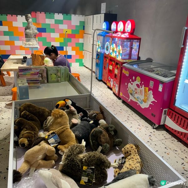 Lollypet寵萌樂園的遊玩體驗！親親小動物