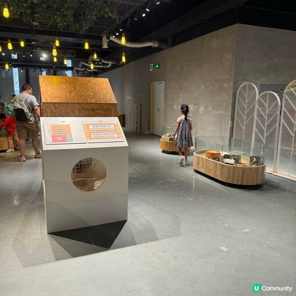 Lollypet寵萌樂園的遊玩體驗！親親小動物