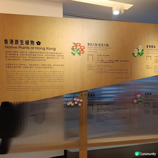 香港文學館盛大開幕