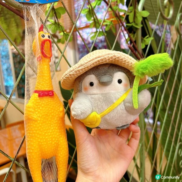 綠茶紅豆冰高質❤️