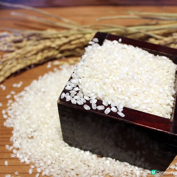 << 清酒工作坊 DIY >>選用 五百万石 ＆山田錦😍