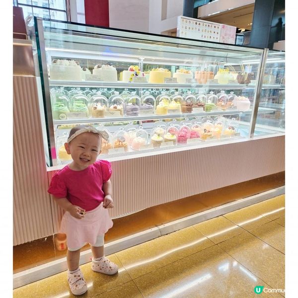 太古城美食•精緻特色蛋糕