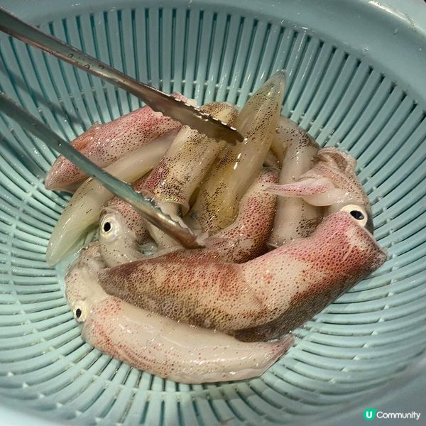 夏日chok墨魚時間到啦😝