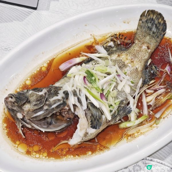 奢華🤩珍饈🦞2人🥢套餐