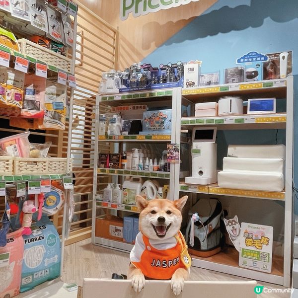 九龍灣。實惠寵物🐾夏日限定派對☀️⛱️