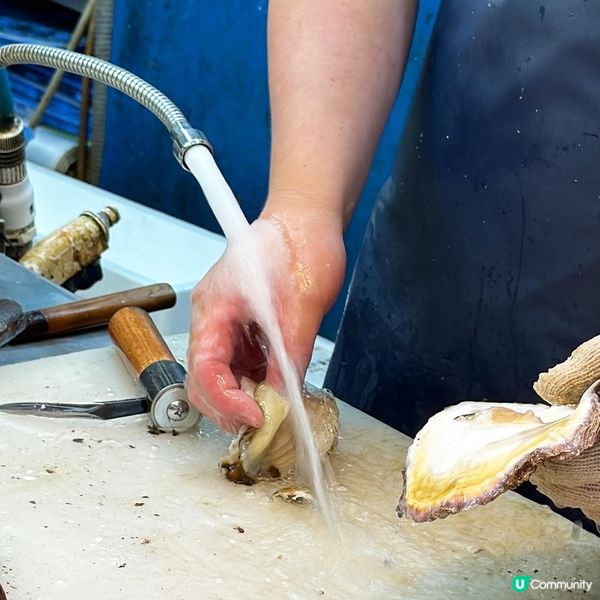 大阪@木津批發市場