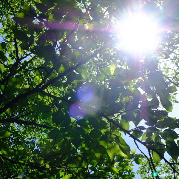 日田隱世蒸餾所🥃