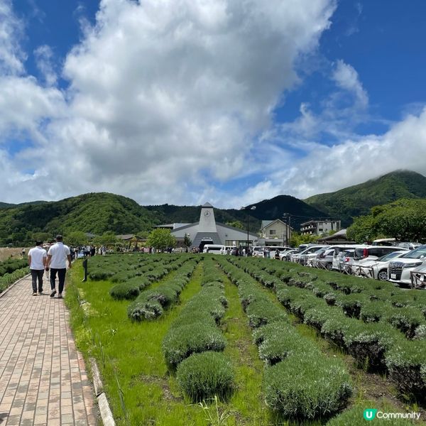 🇯🇵🗻富士山河口湖 大石公園