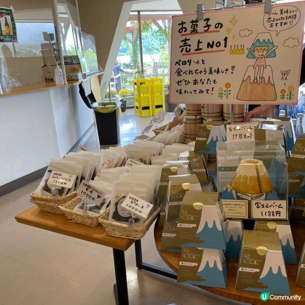 🇯🇵🗻富士山河口湖 大石公園