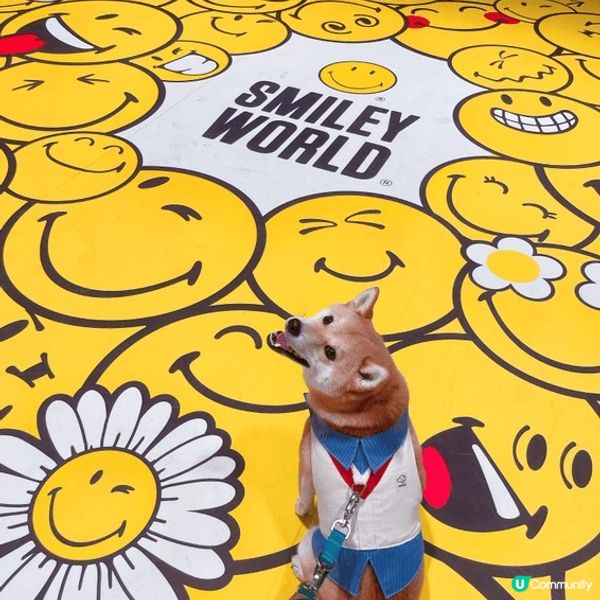 寵物友善好去處2024 